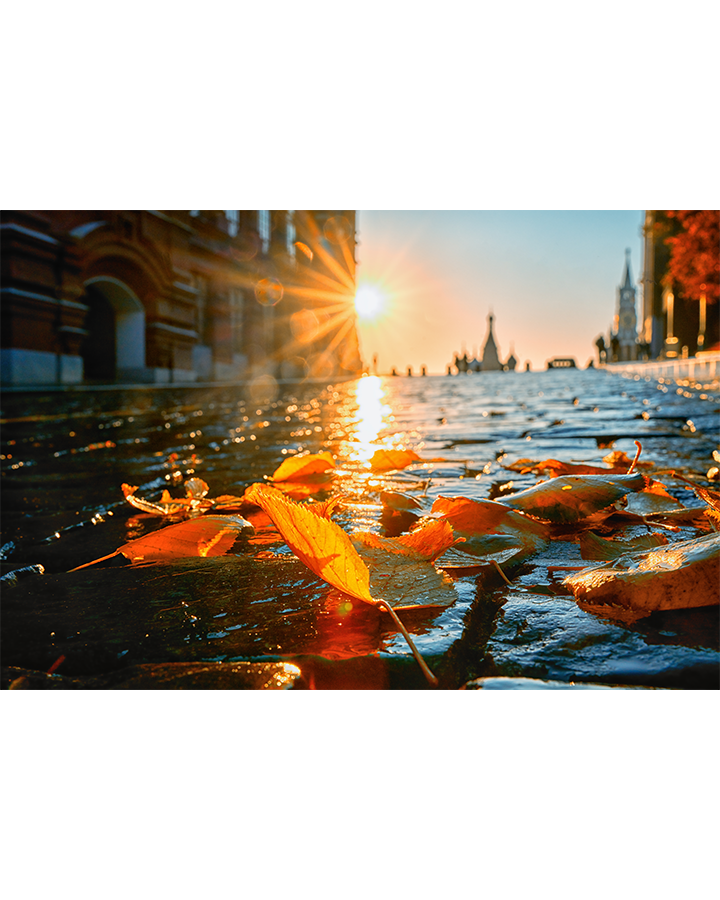 В городе осень