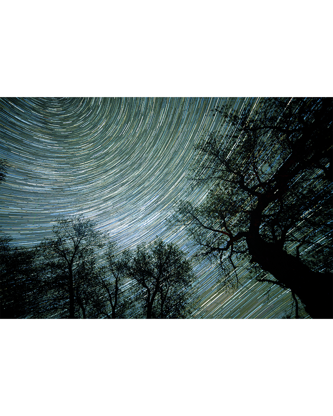 Движение звёзд