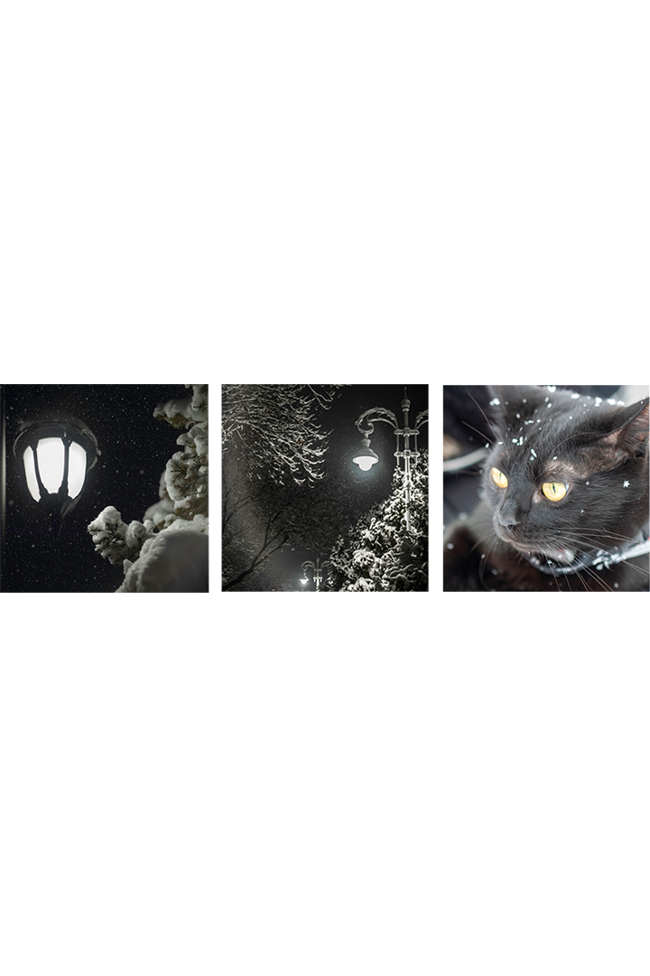 Фантазии по Булгакову