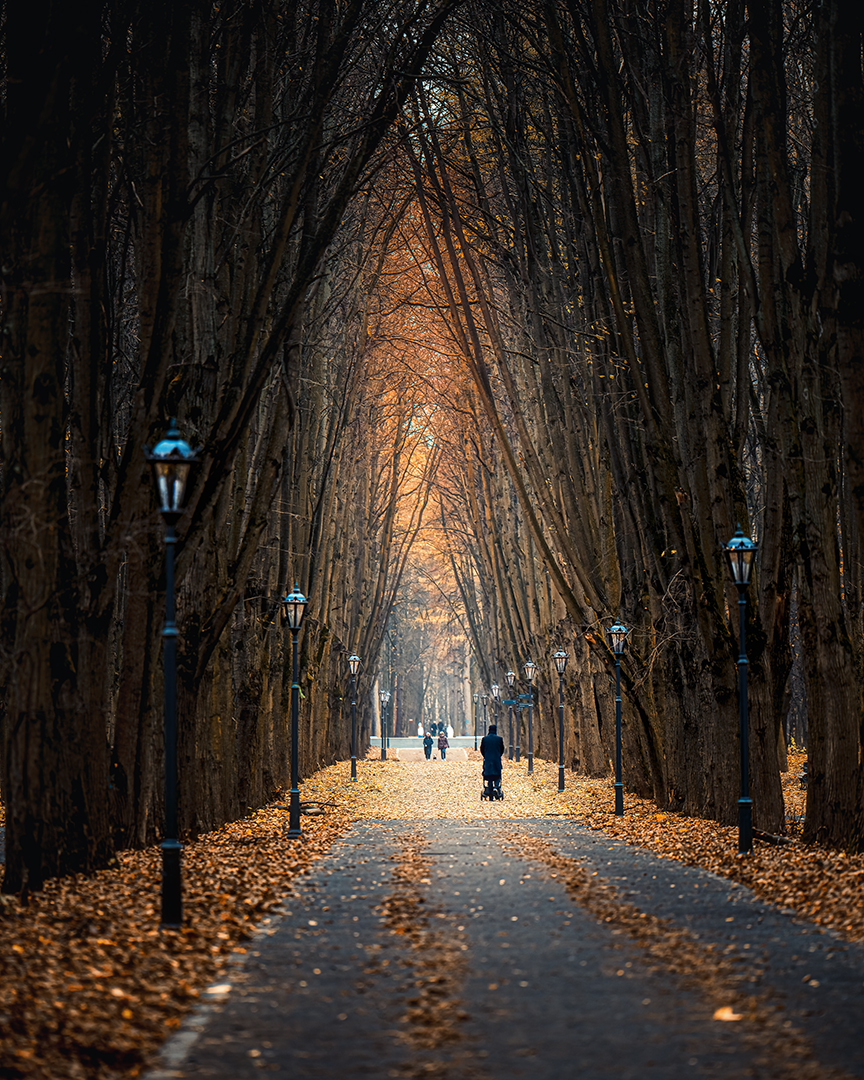 Под крышей осени