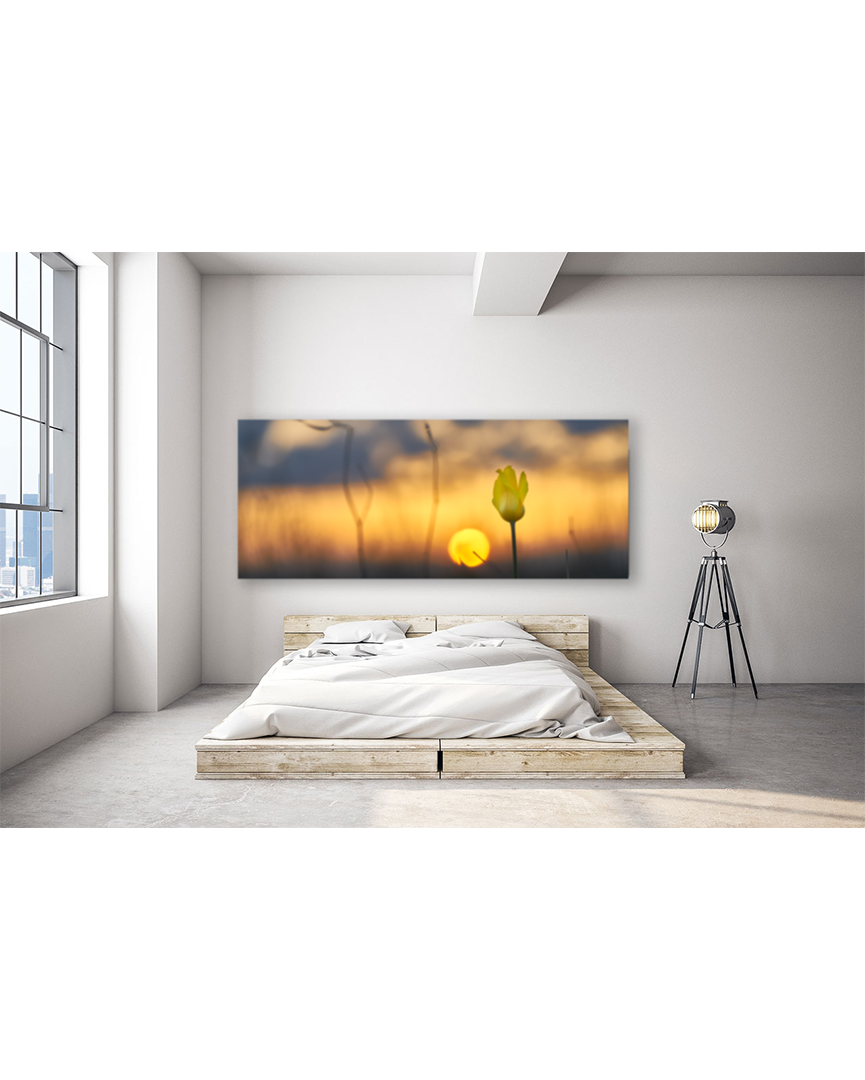 Степная краса