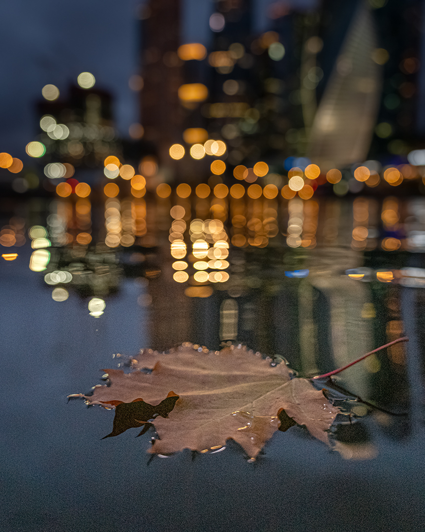 На сцене осень