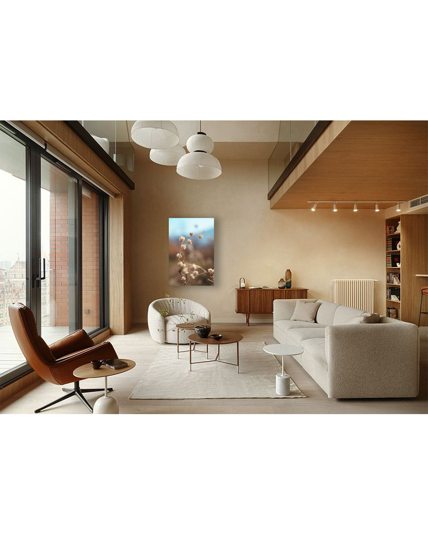 Воздушный колокольчик