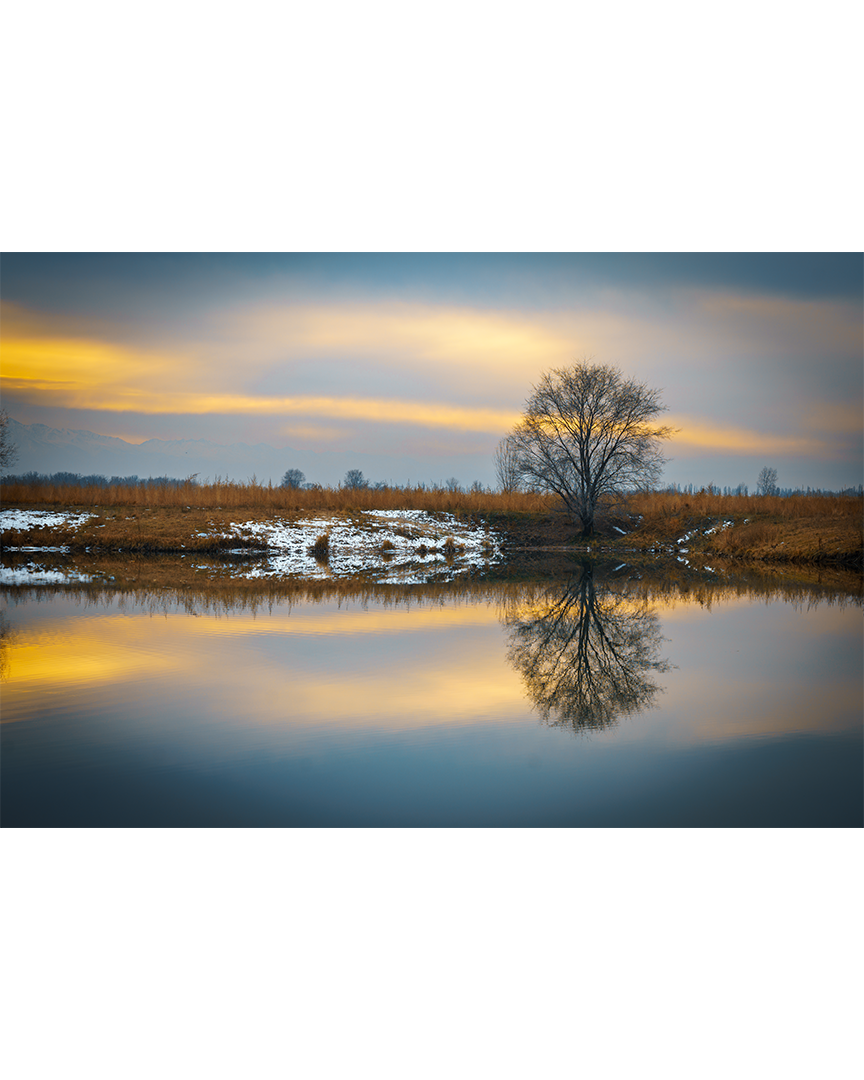 Кружева осени