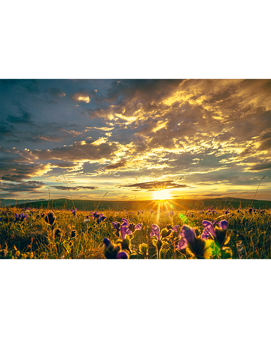В моде сиреневый