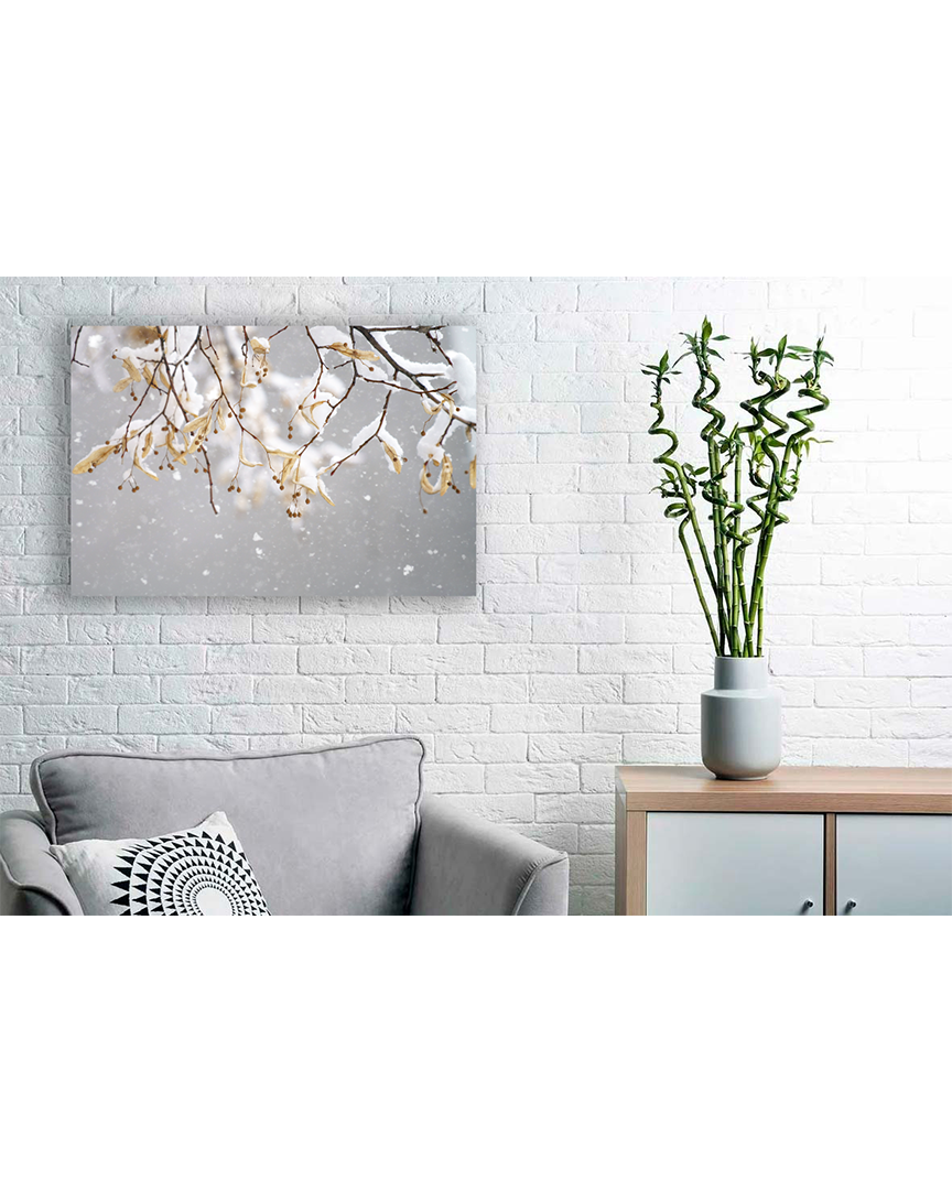 Зимняя "вишня"