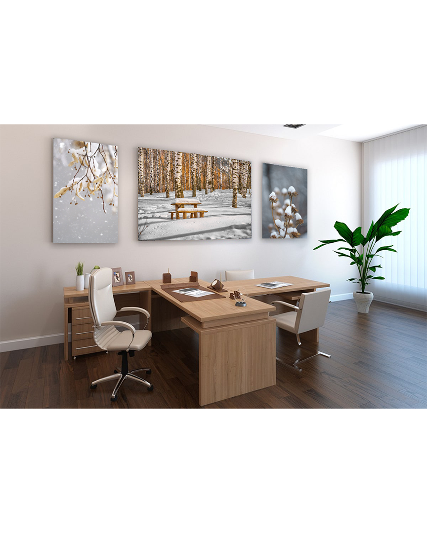 Под зимним одеялом