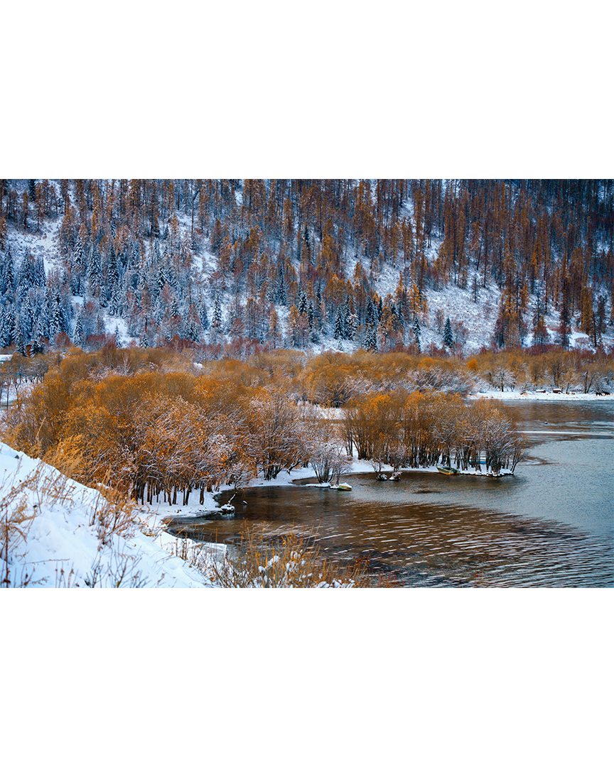 Рыжое и Белое