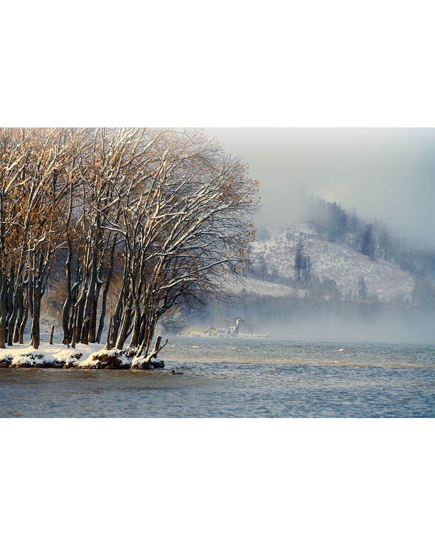 Туман над рекой