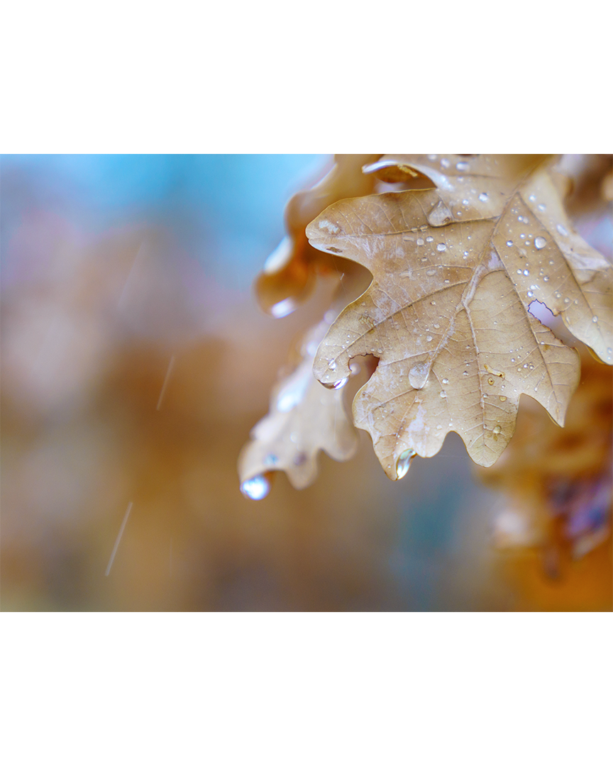 Настроение