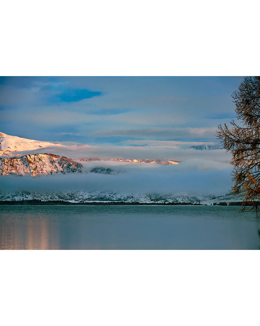 Туманное утро