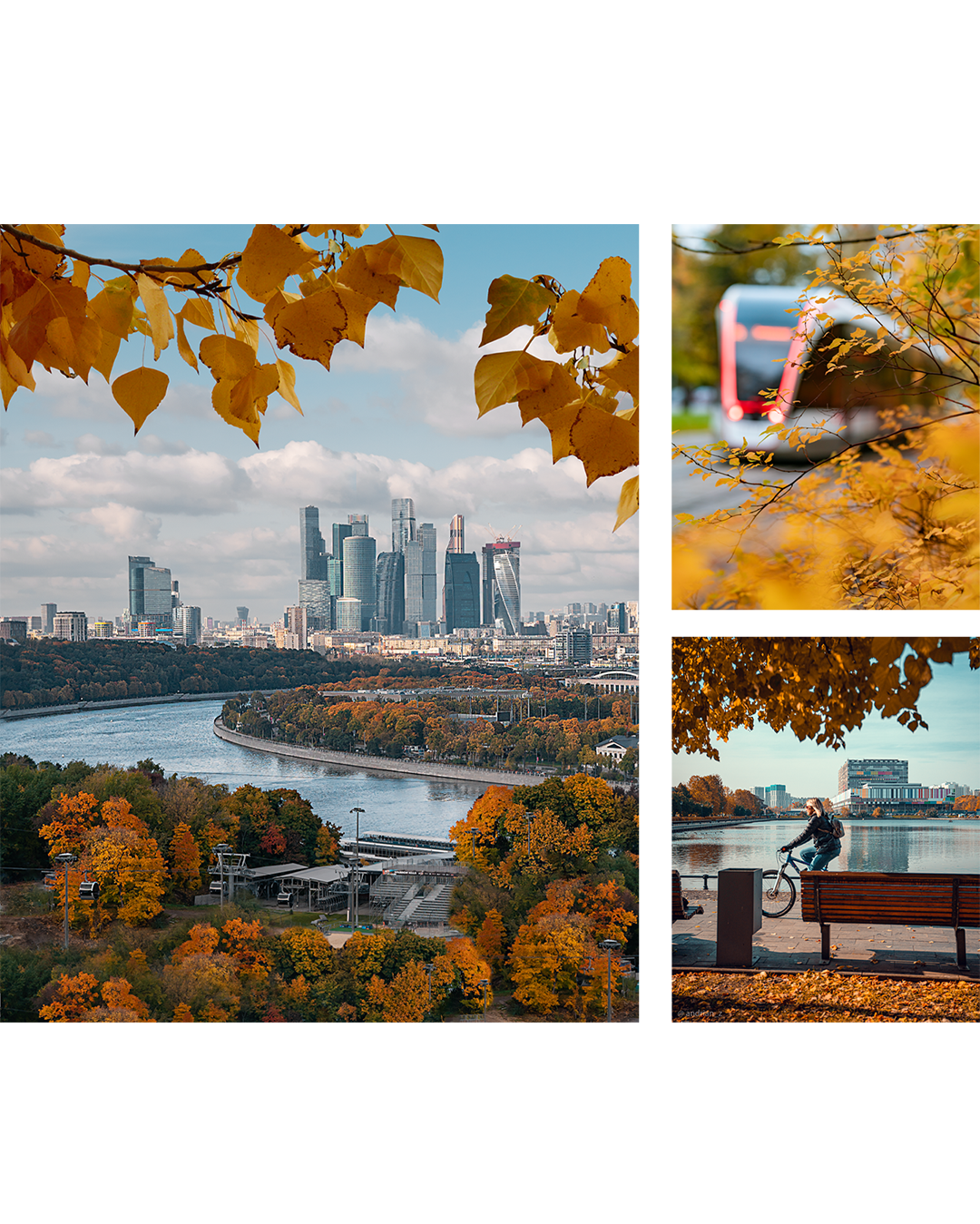 Под сенью листьев