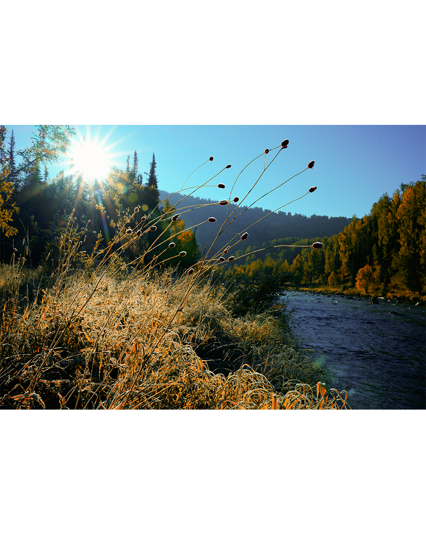 Утро на реке