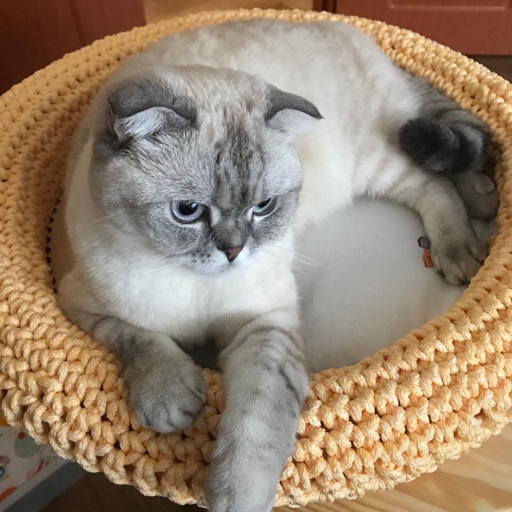 МК Лежанка для домашнего питомца