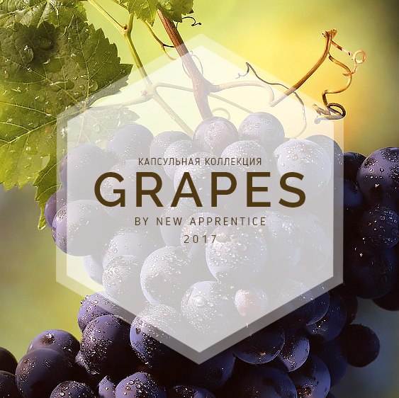 GRAPES SE 2017