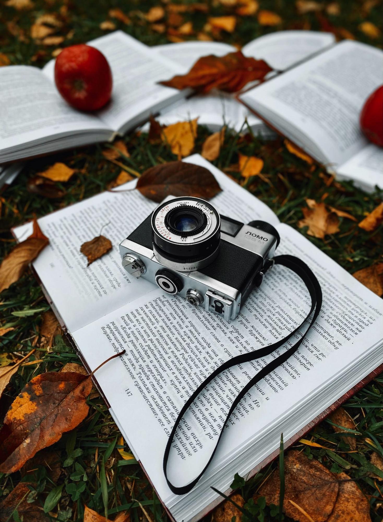 КУРС «УВЕРЕННОСТЬ, ЧЕРЕЗ ИСТОРИИ»  (письма + чат)