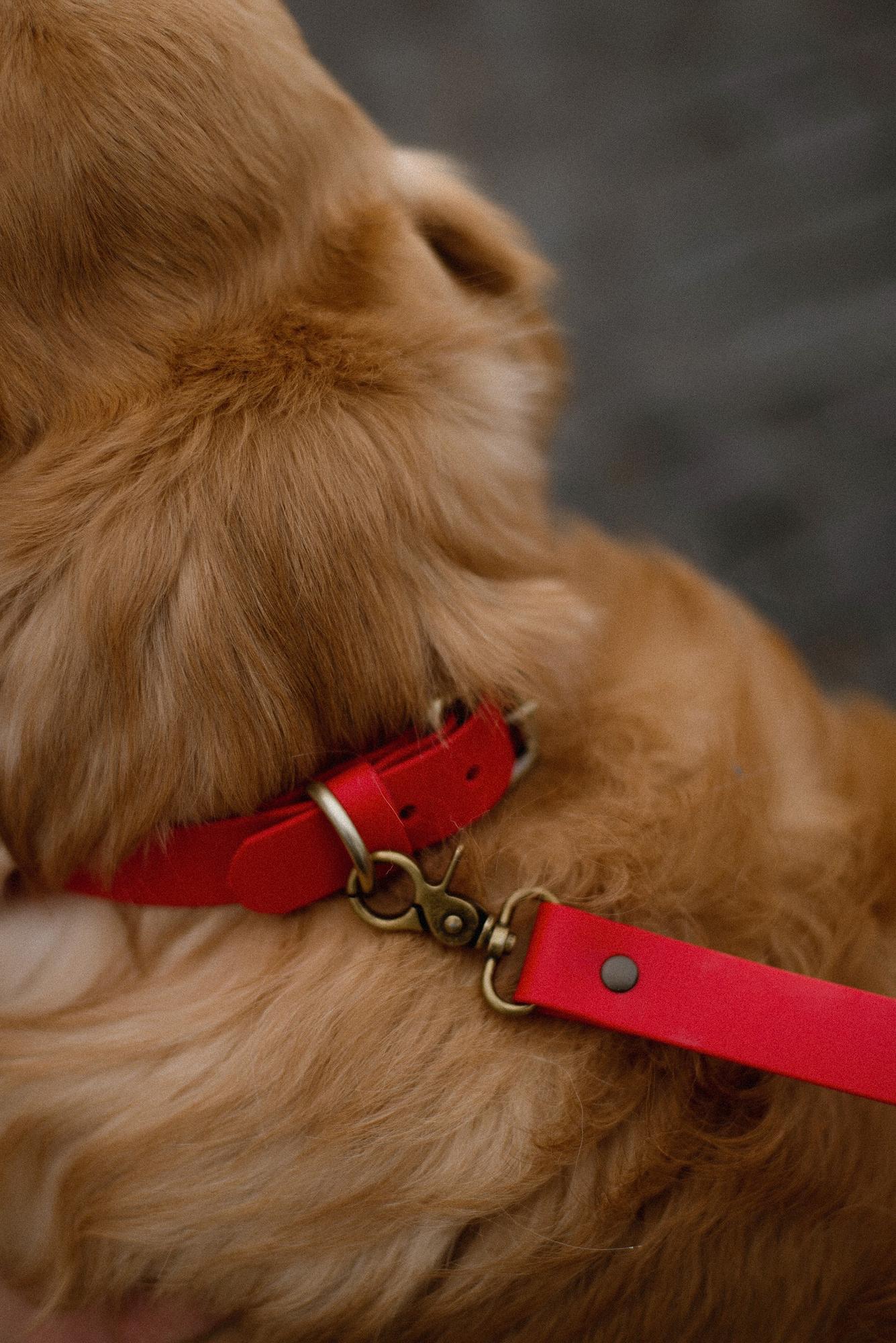 ОШЕЙНИК ИЗ БИОТАНА