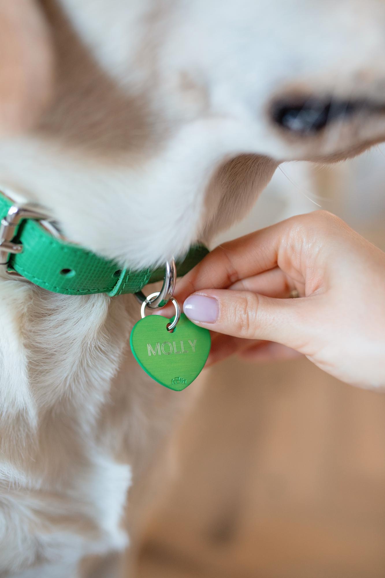 АДРЕСНИК НА КУЛОНЕ