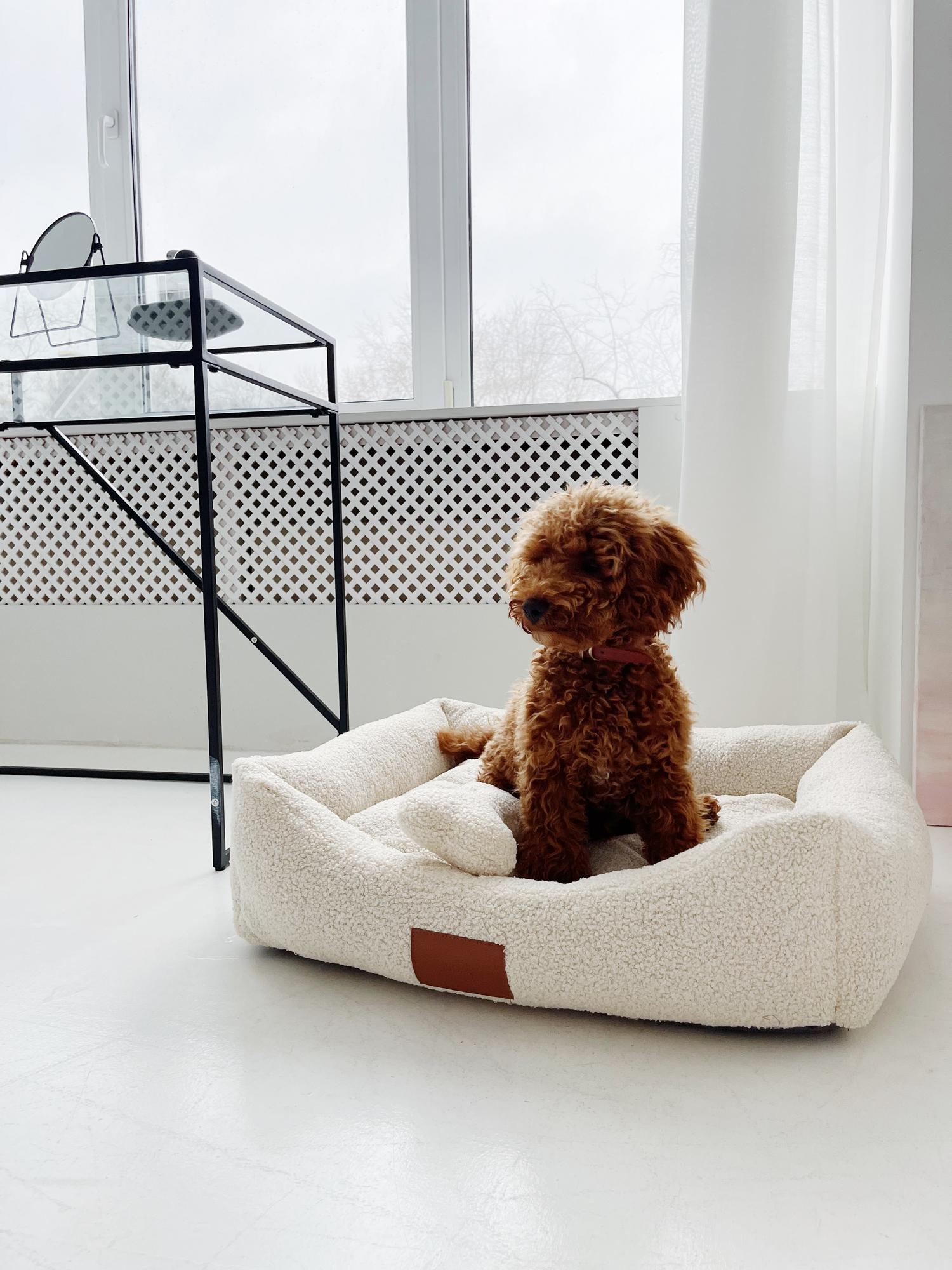 ЛЕЖАНКА ОБЛАЧКО