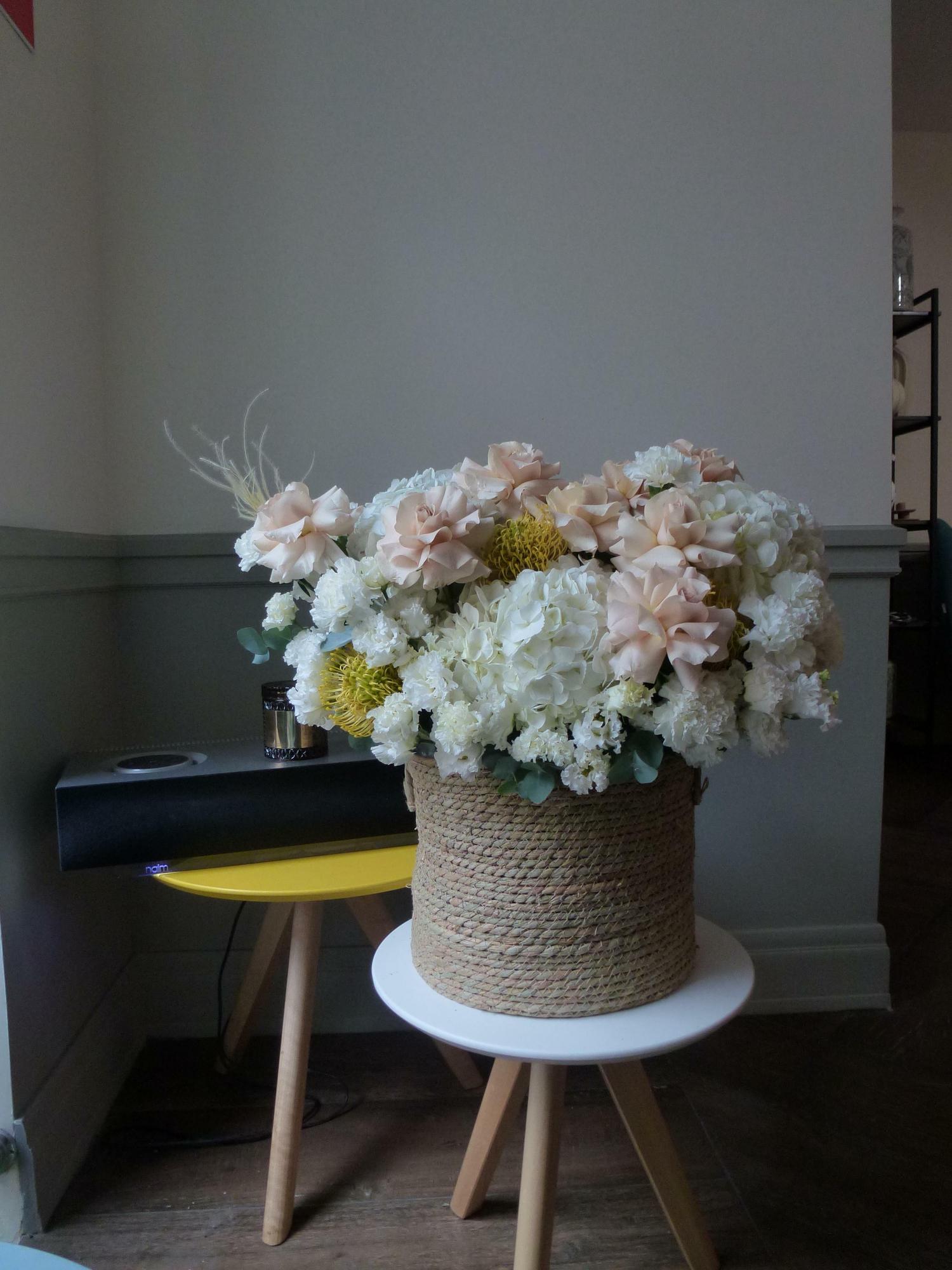 Принцесса лебедь