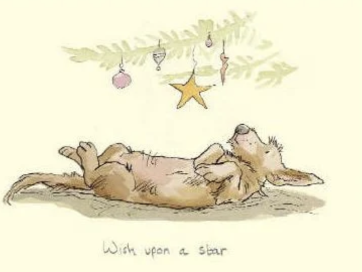 wish upon a star