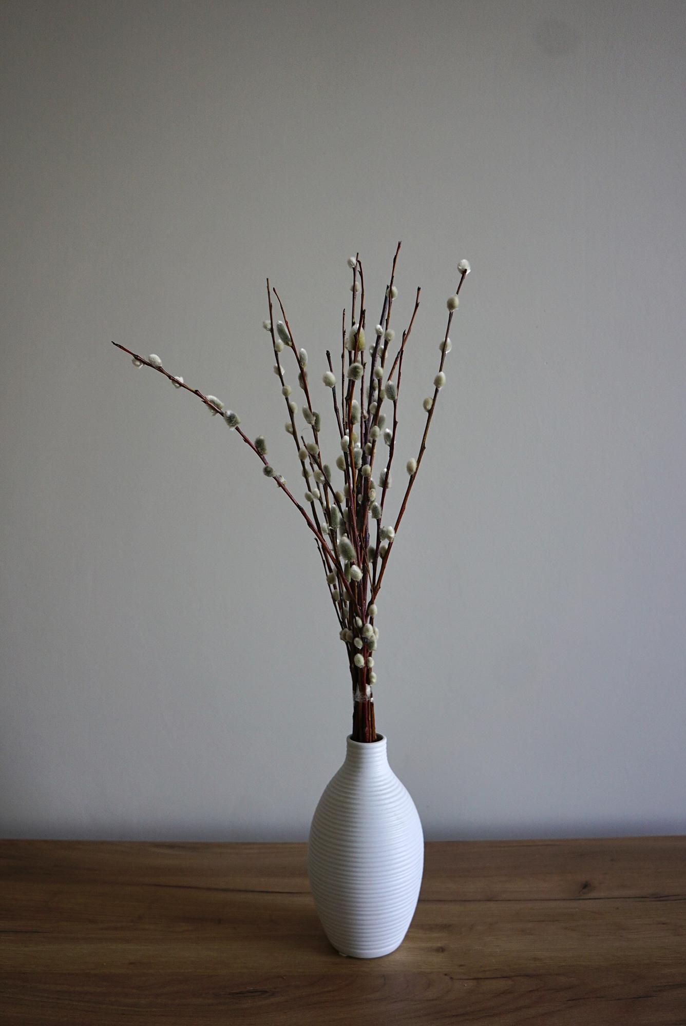 Ветки вербы