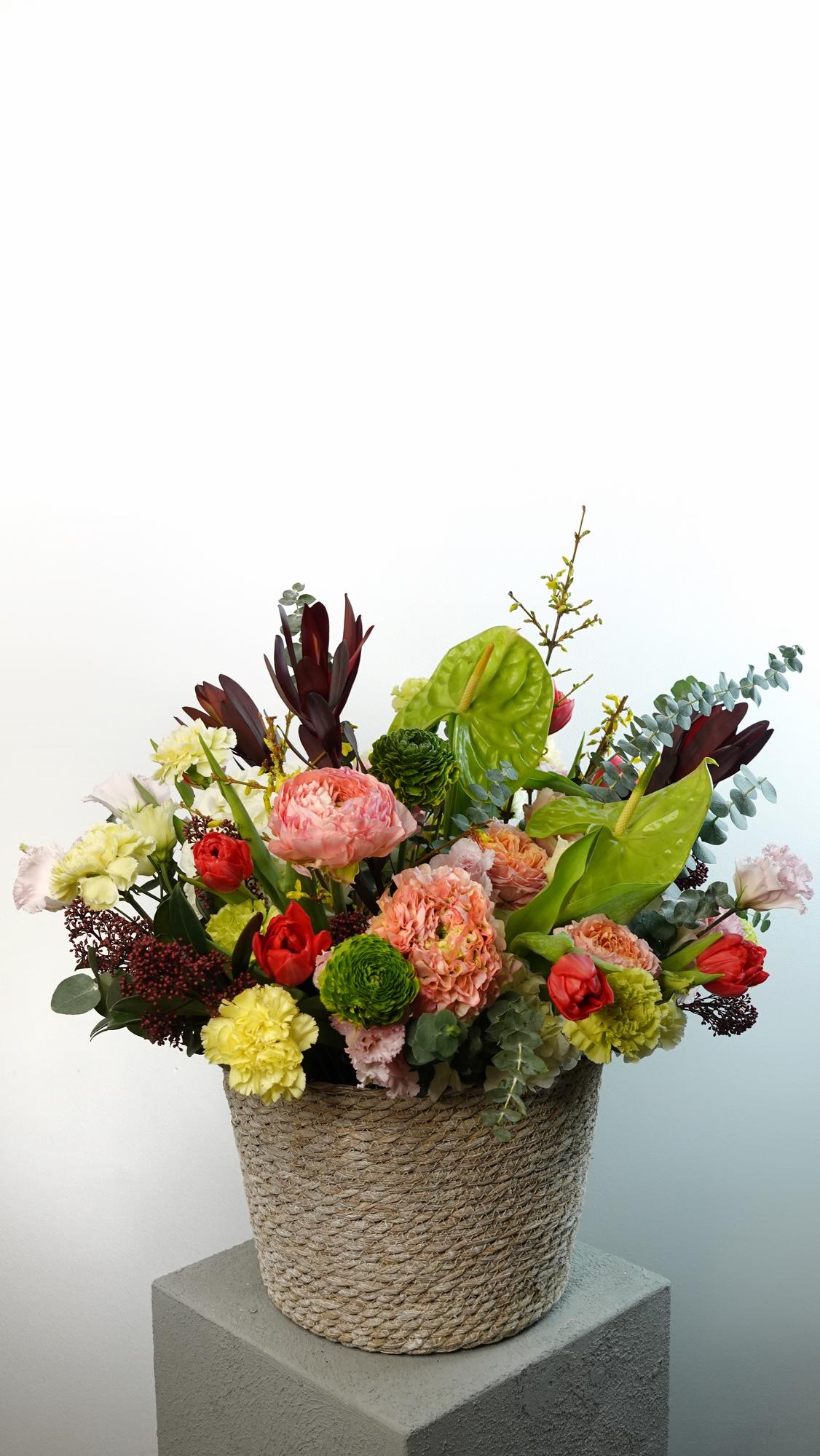 Приходи на меня посмотреть