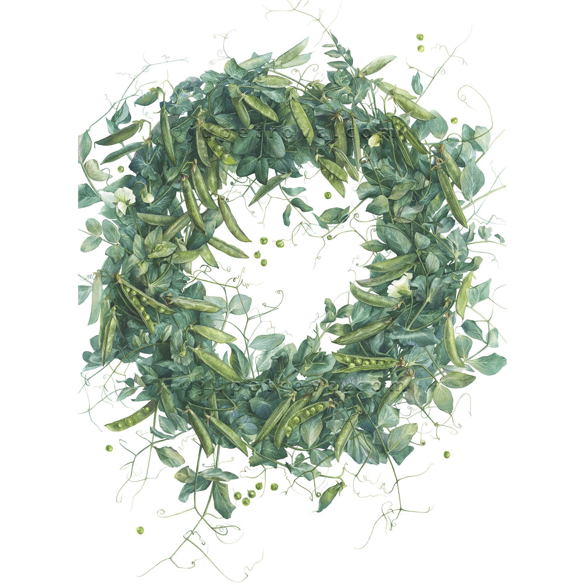 принт "Зеленый горошек"