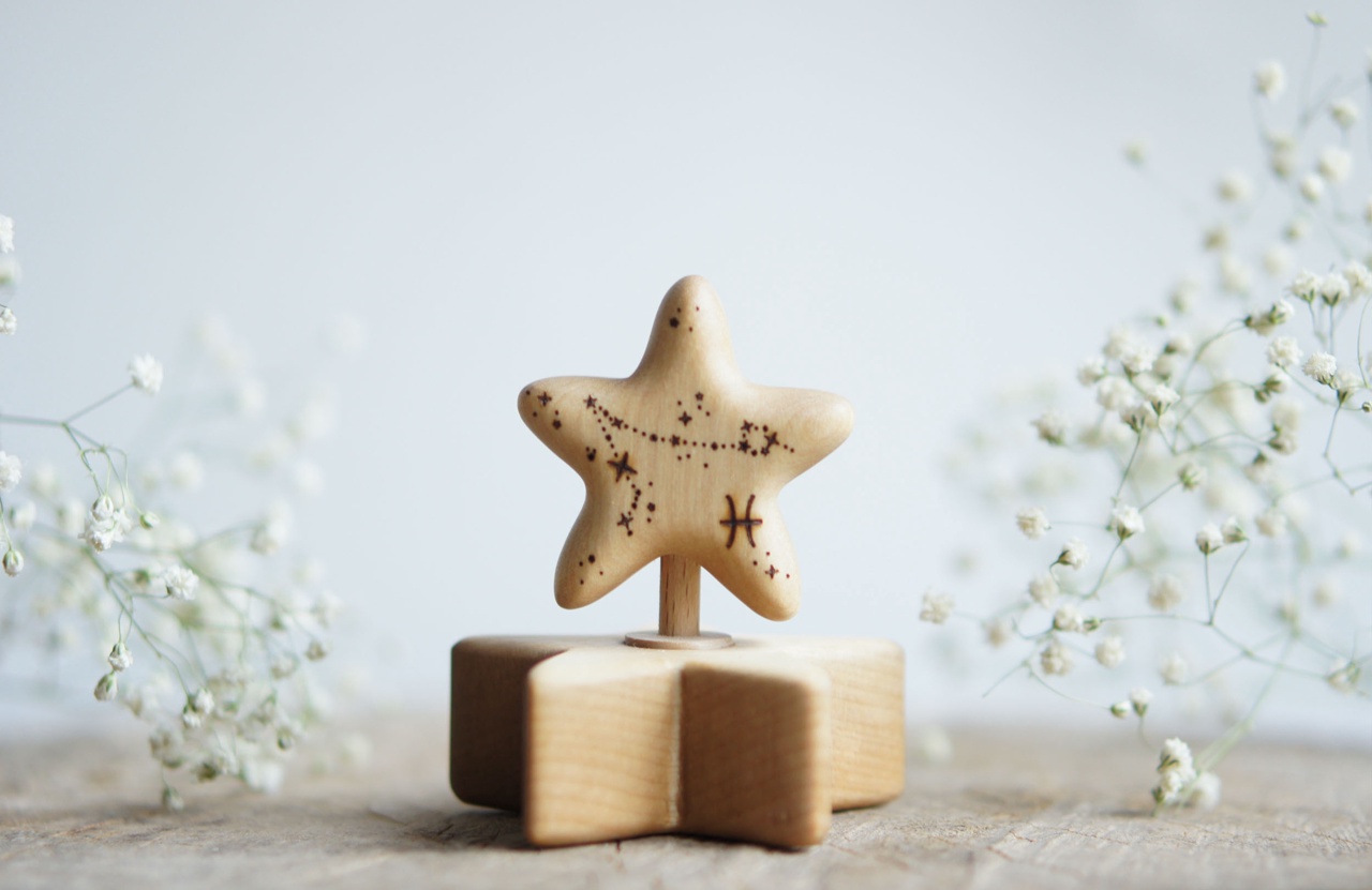 Wooden star zodiac Pisces