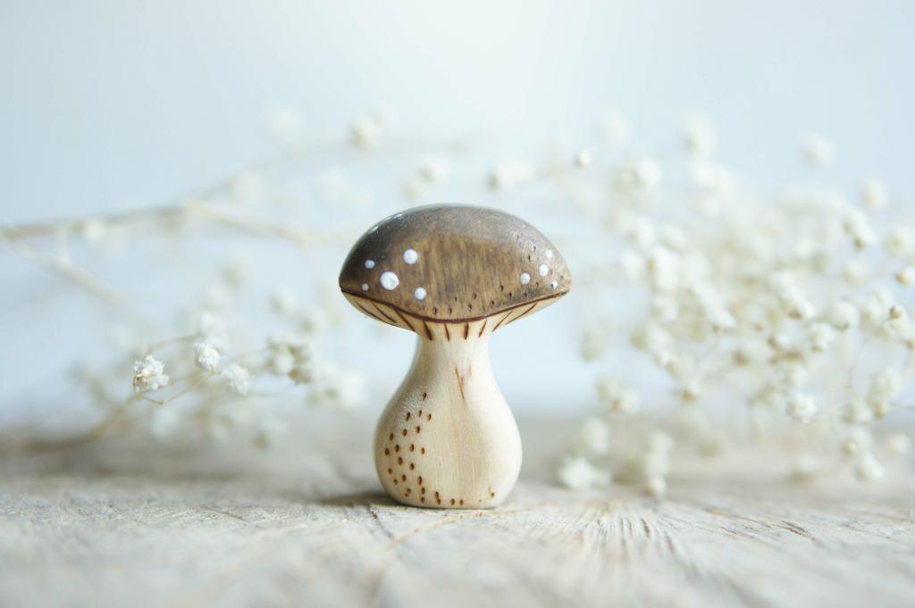 Mushroom wooden toy