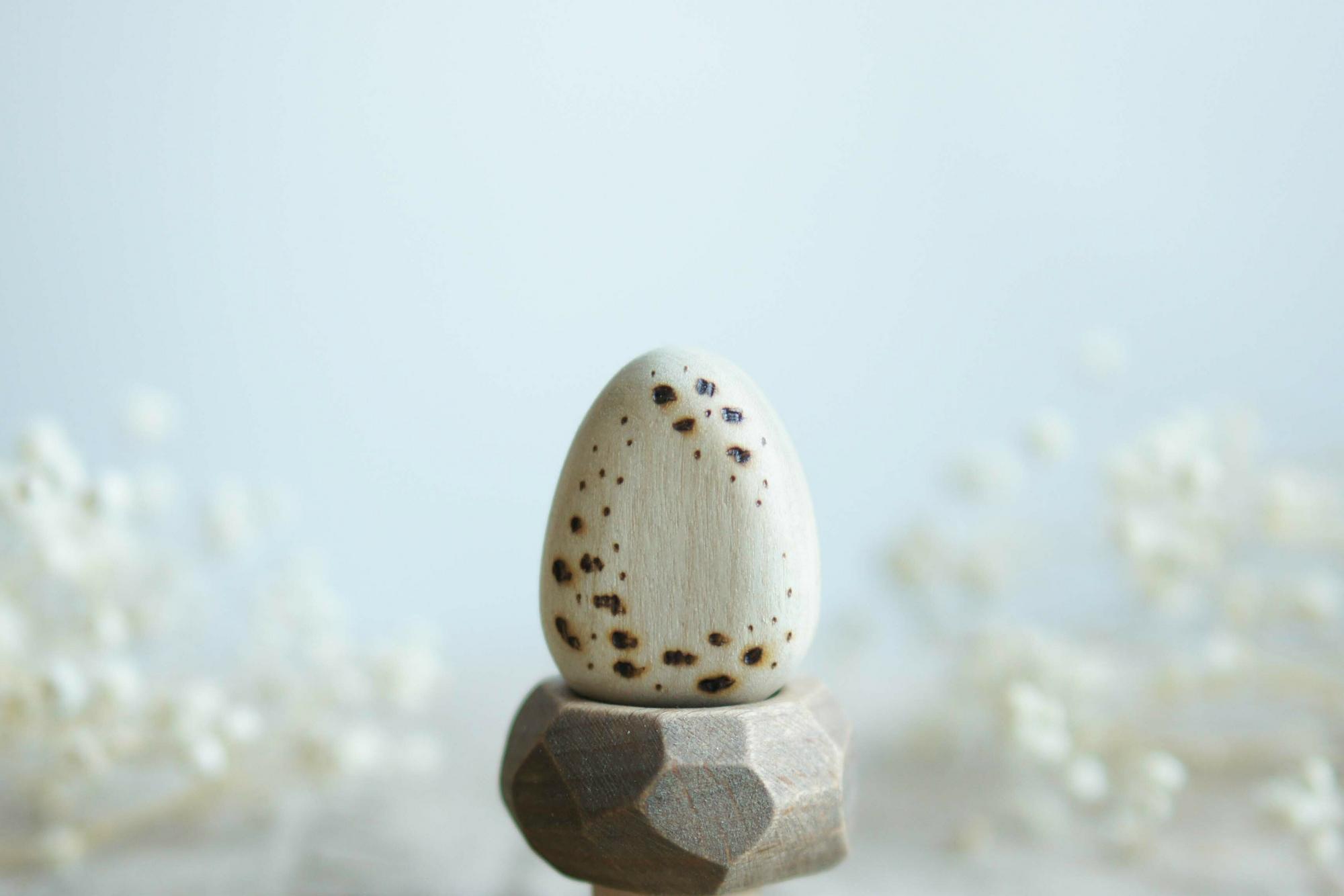 Egg with nest wooden toy