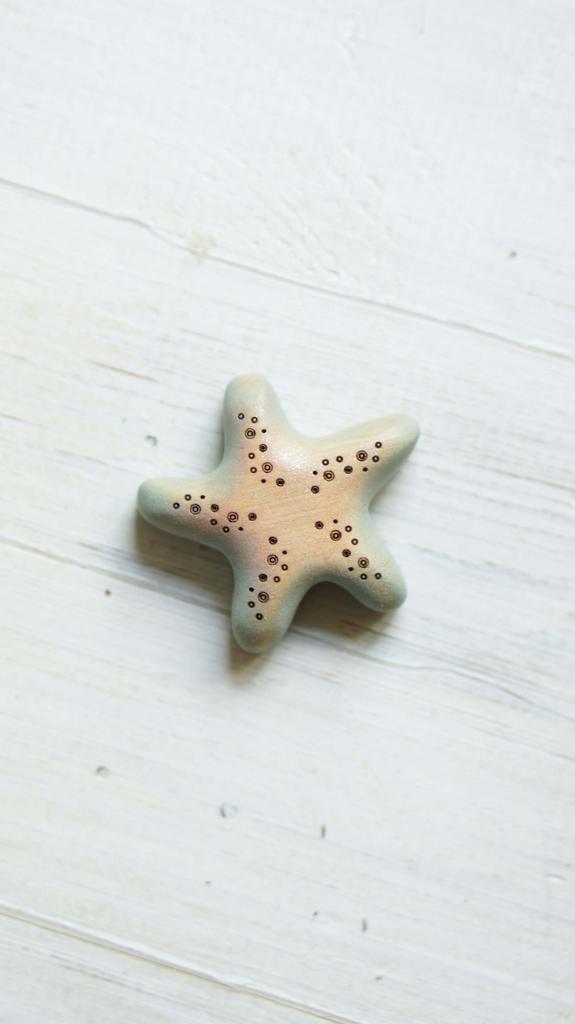 Starfish wooden toy 5 (pink-blue)