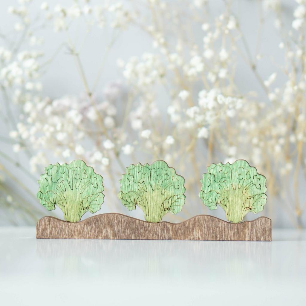 Garden bed with broccoli (set of 3)