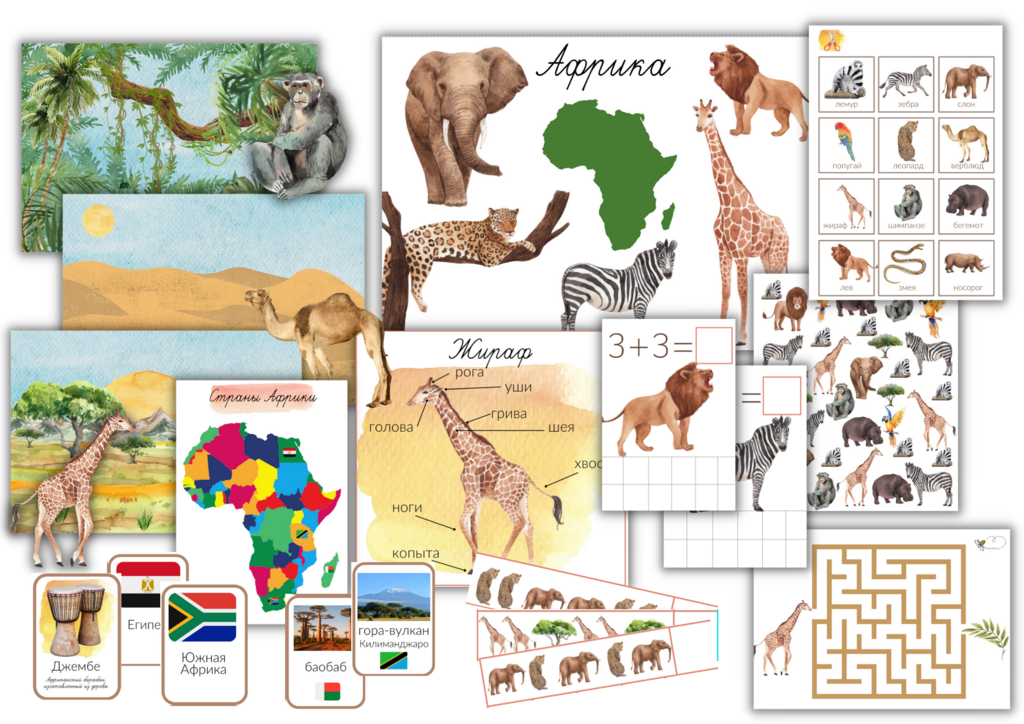 ПРОЕКТ "АФРИКА"