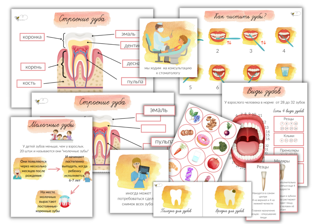 ПРОЕКТ "ЗУБЫ"