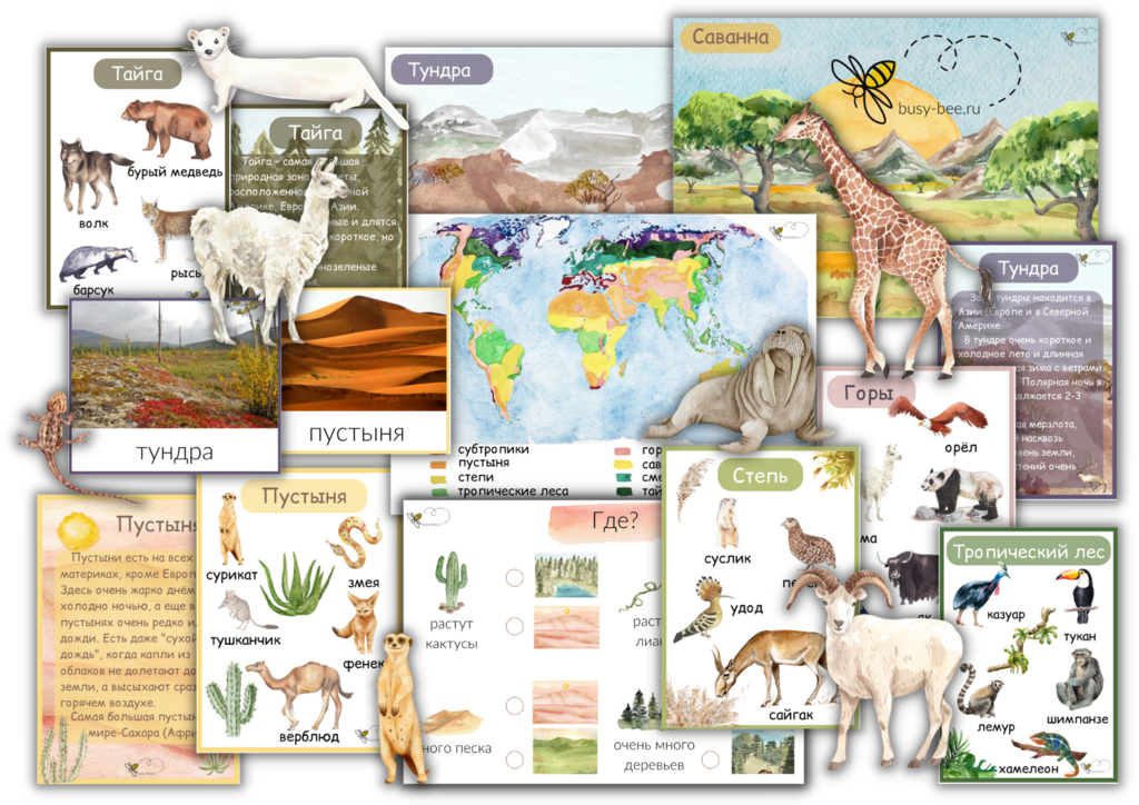ПРОЕКТ "ПРИРОДНЫЕ ЗОНЫ МИРА"