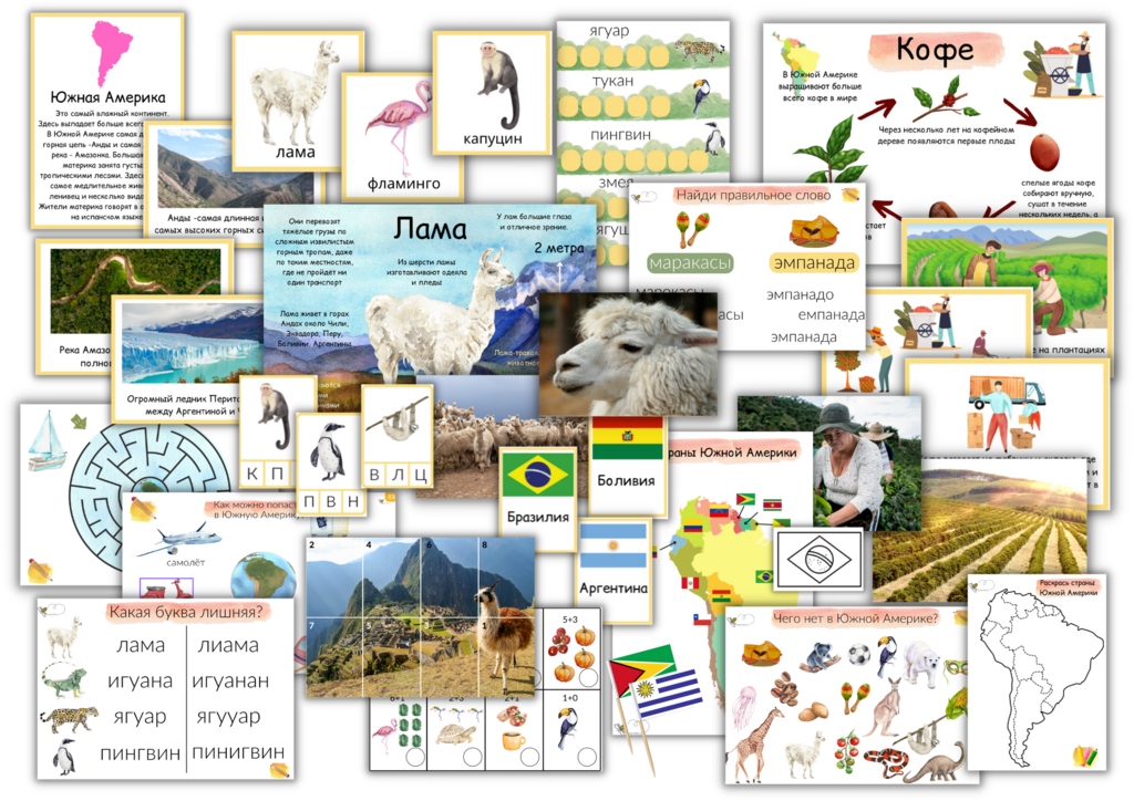 ПРОЕКТ "ЮЖНАЯ АМЕРИКА"