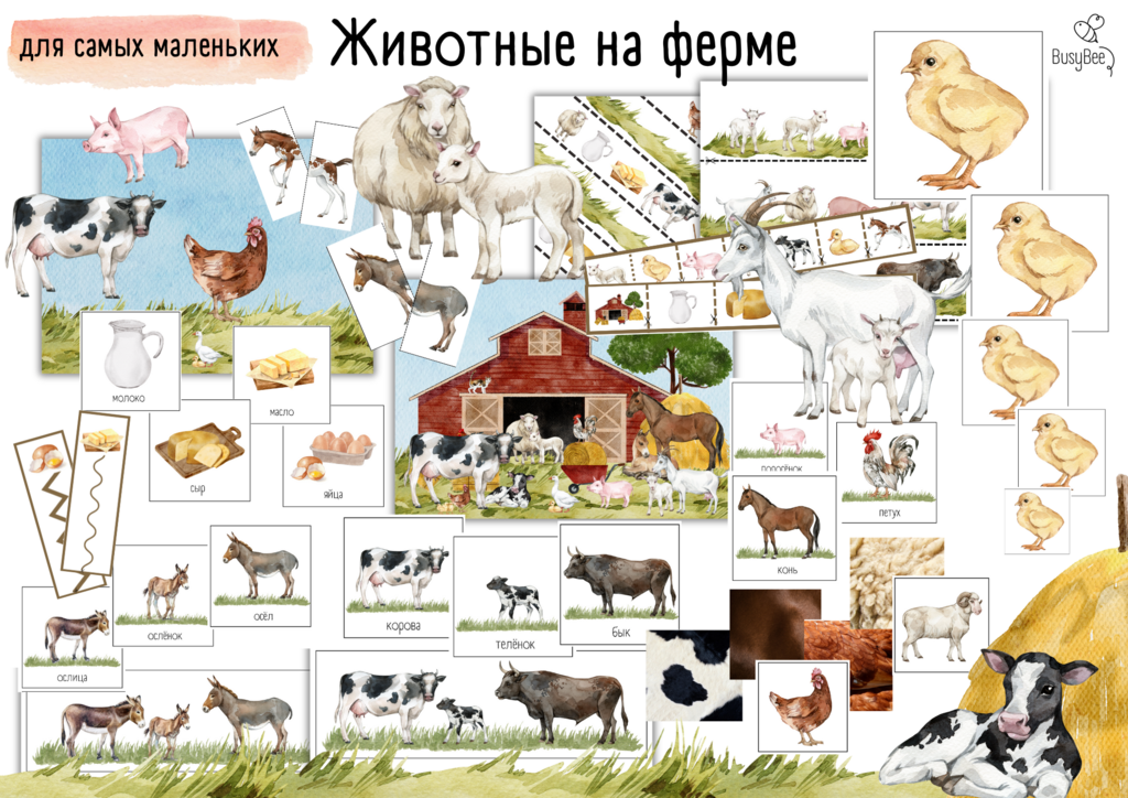 ПРОЕКТ  "ЖИВОТНЫЕ НА ФЕРМЕ"