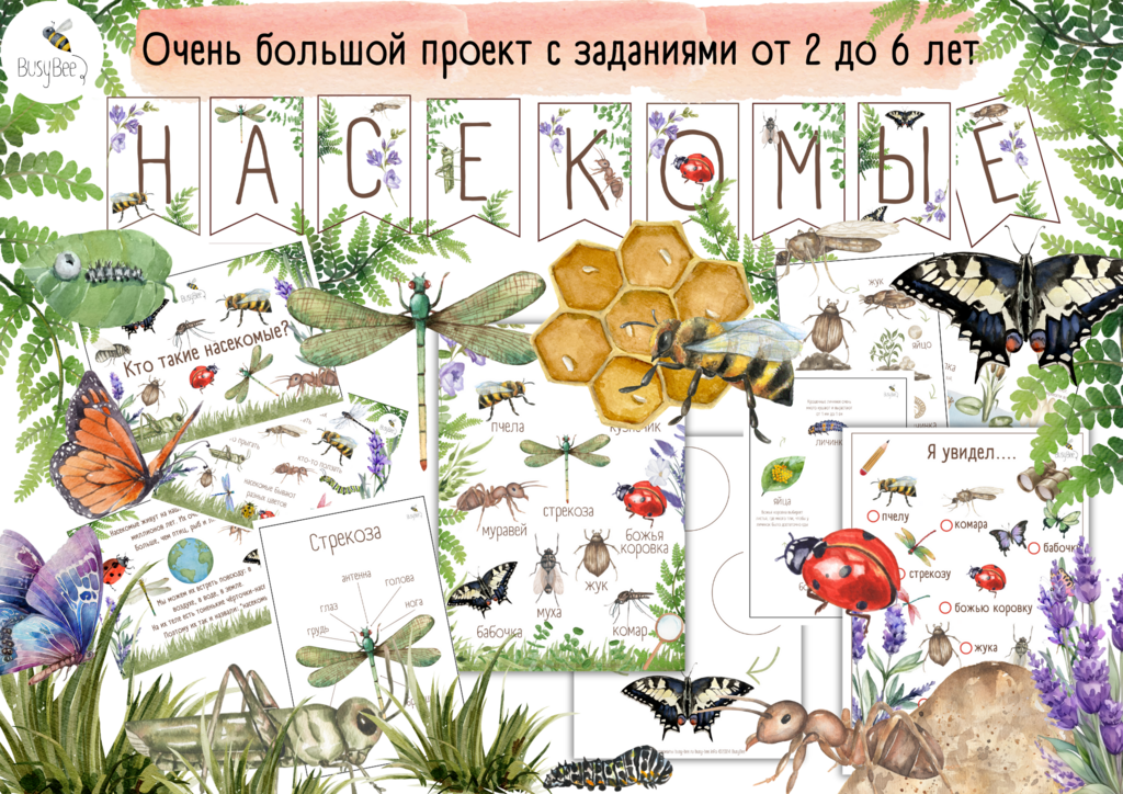 БОЛЬШОЙ ПРОЕКТ  "НАСЕКОМЫЕ"