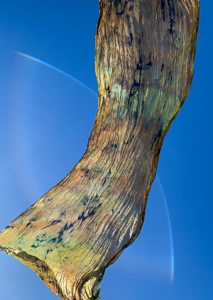 Шёлковый палантин "Хмурый лес”