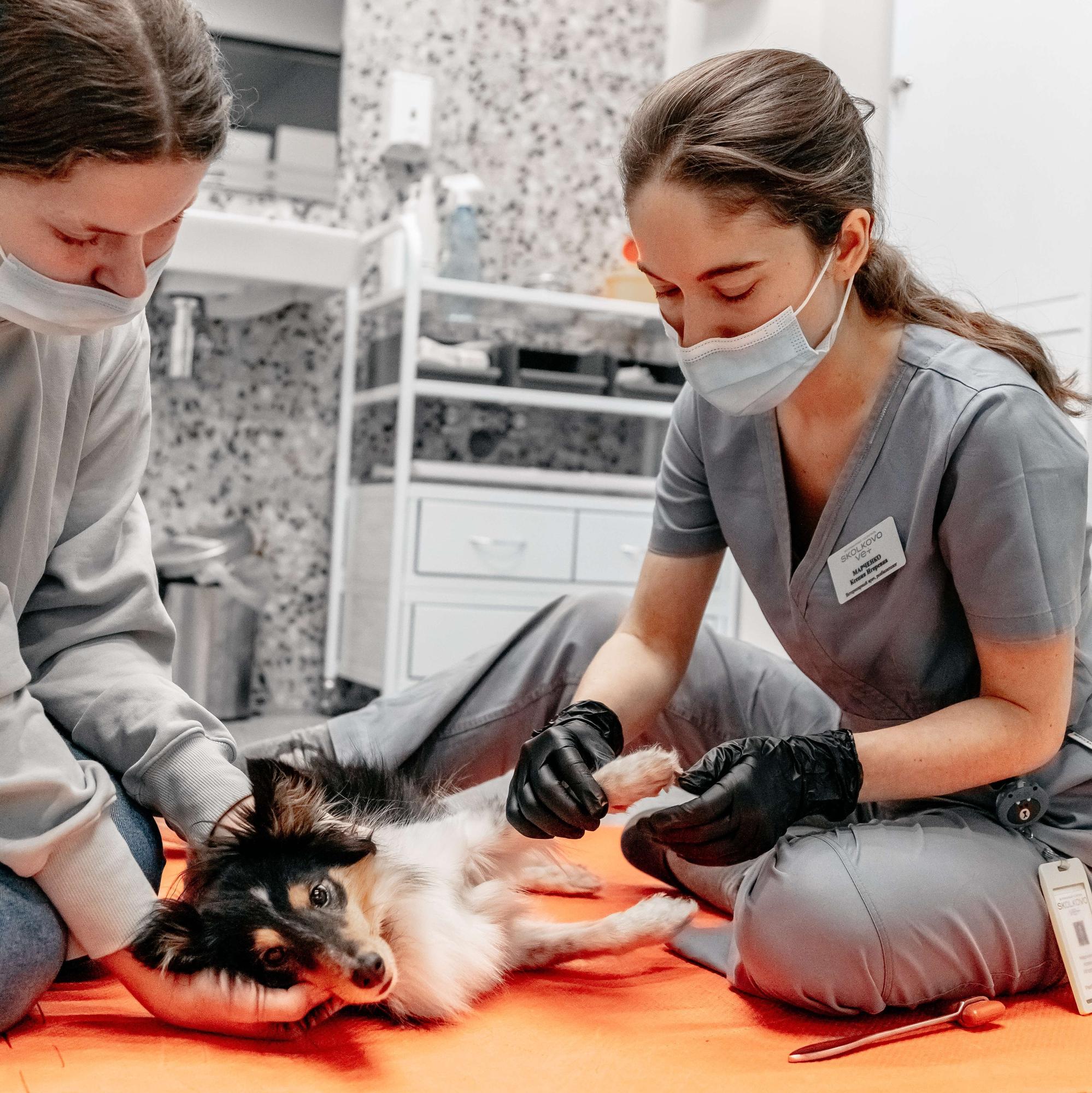 Online консультация