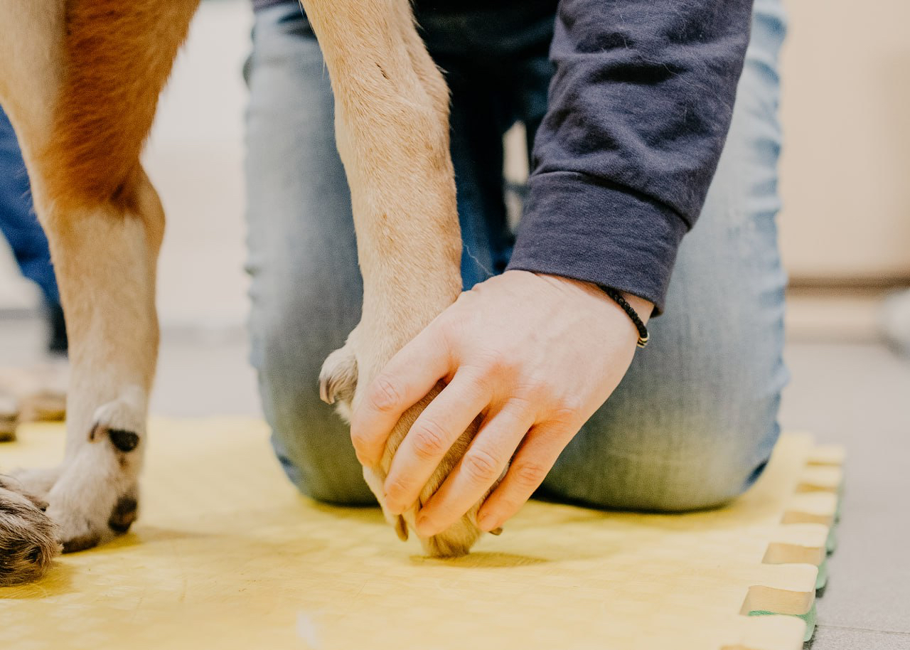 Продвинутый модуль 1 день