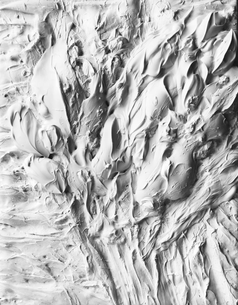 •   Лепестки / акрил, холст