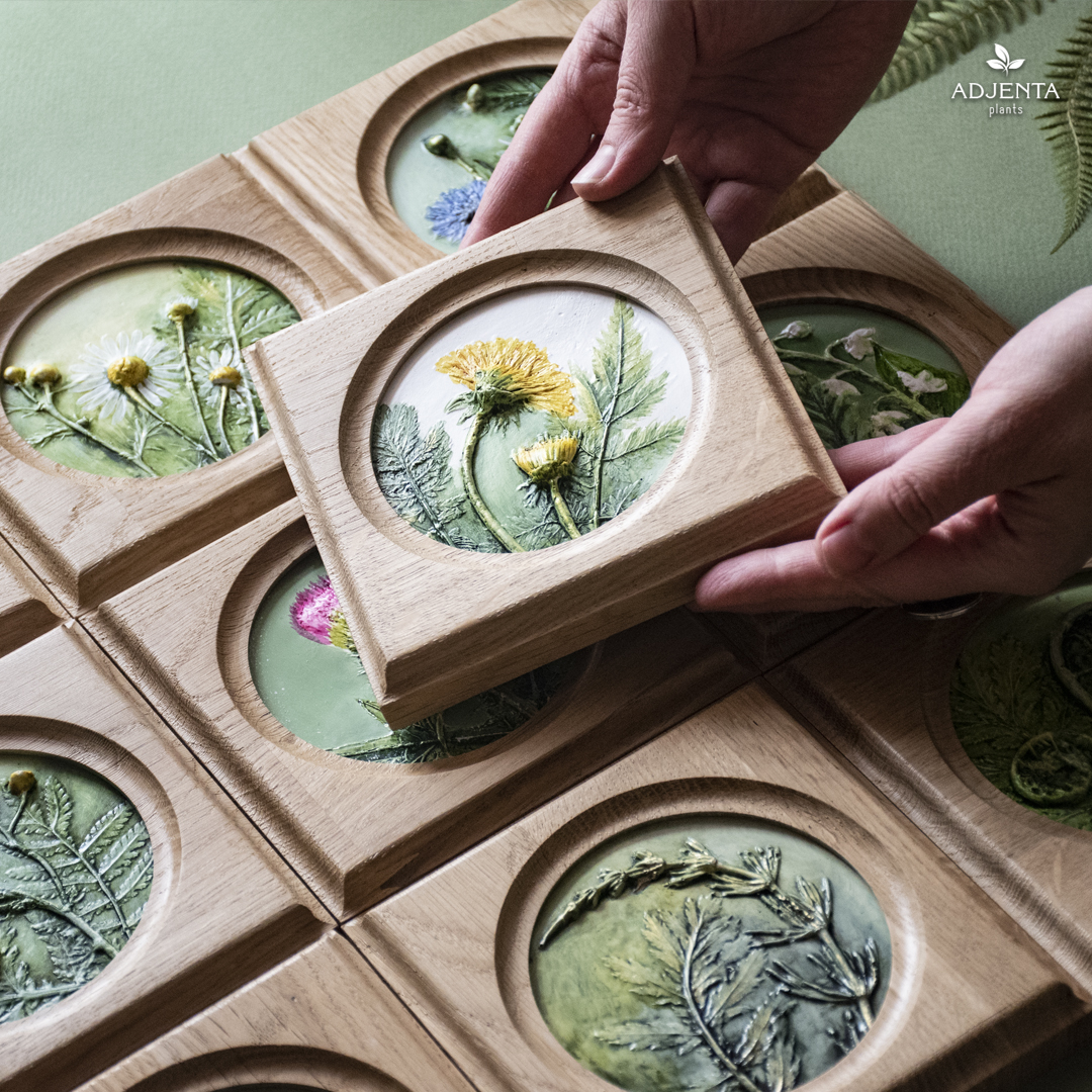 Барельефы в дубовых рамочках