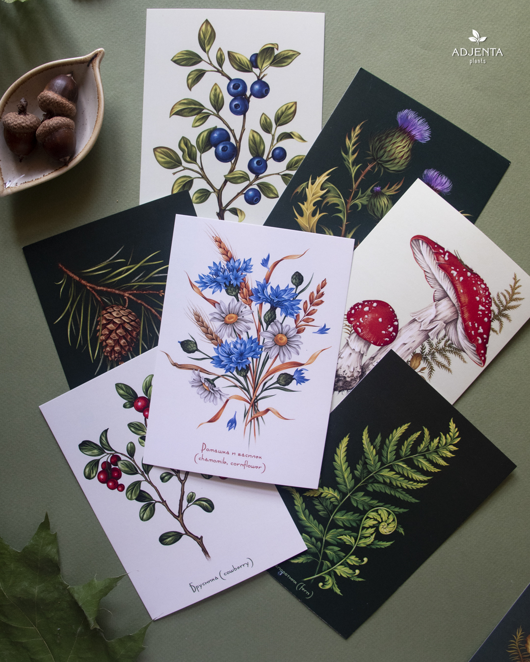 Набор ботанических открыток