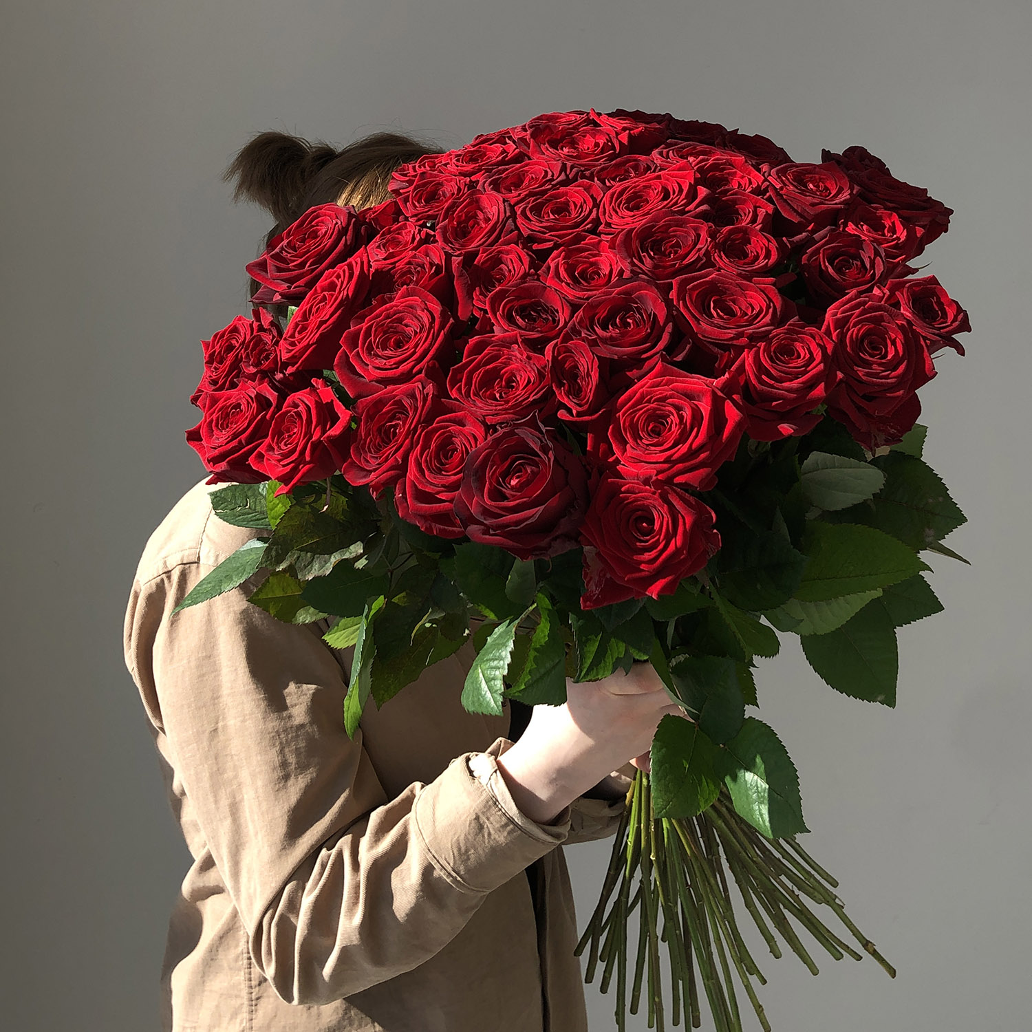 51 красная роза премиум 70 см