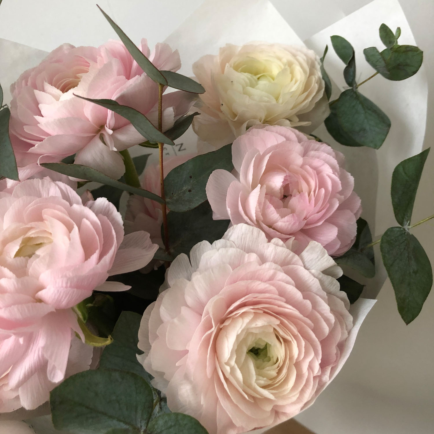 Букет ранункулюсов с эвкалиптом