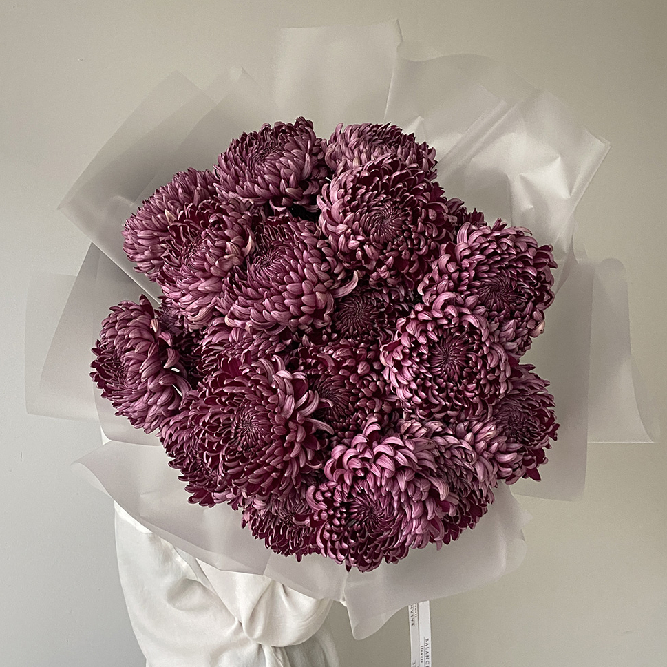 Хризантемы "Бигуди"