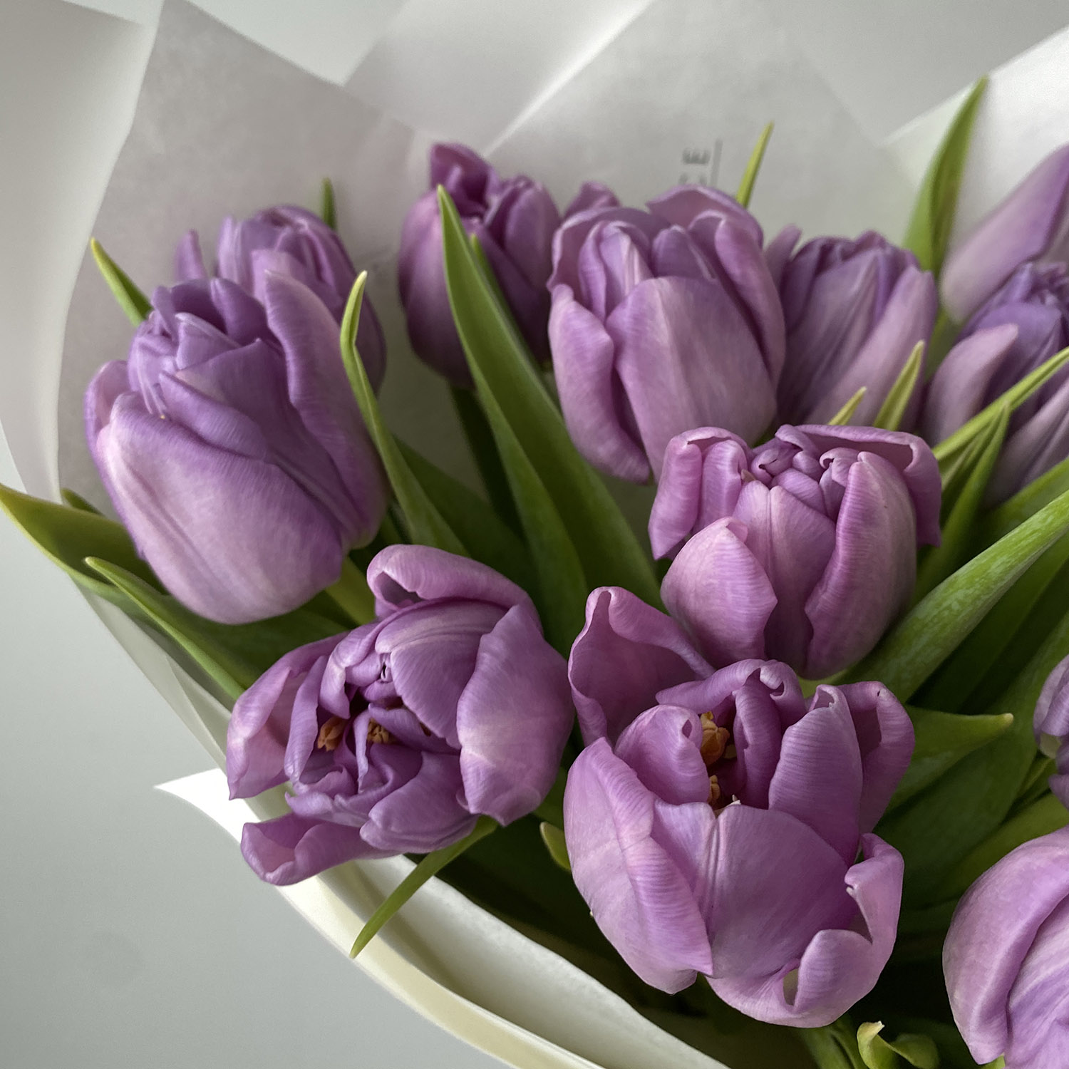 Букет лавандовых пионовидных тюльпанов