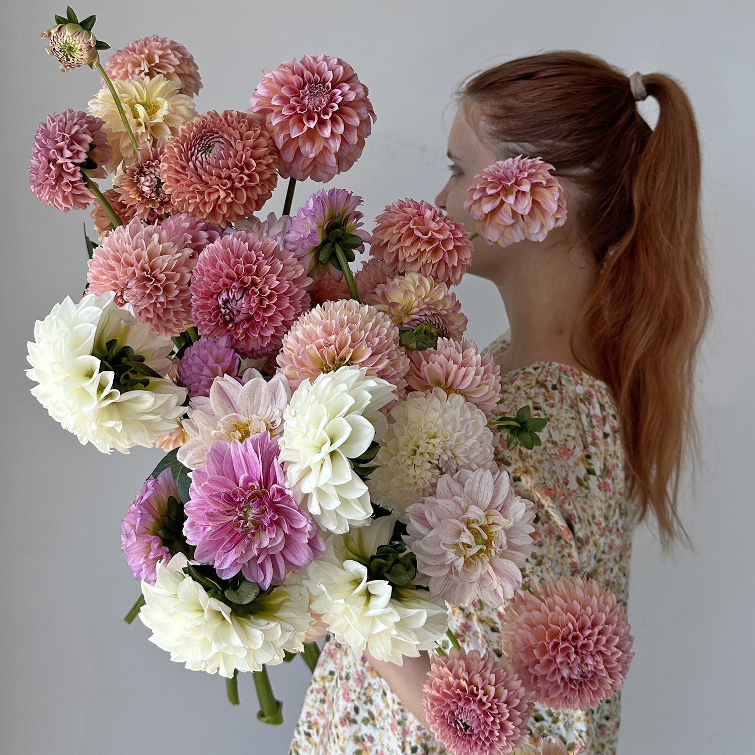 Георгины микс